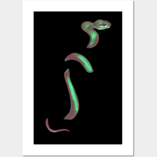 snek 4 Posters and Art